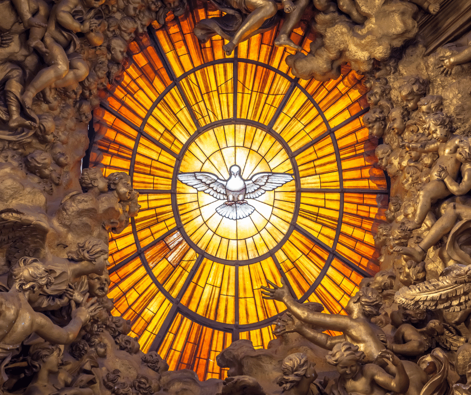 Image 23